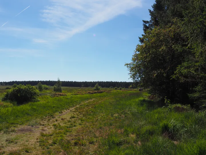 Signal de Botrange (België)